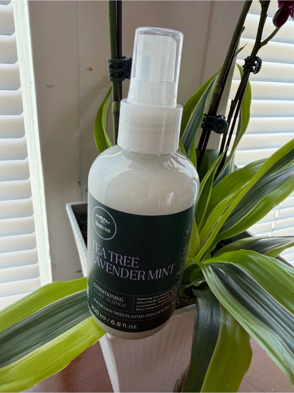 Tea Tree Lavender Mint Conditioning Leave-In Spray - Green & White